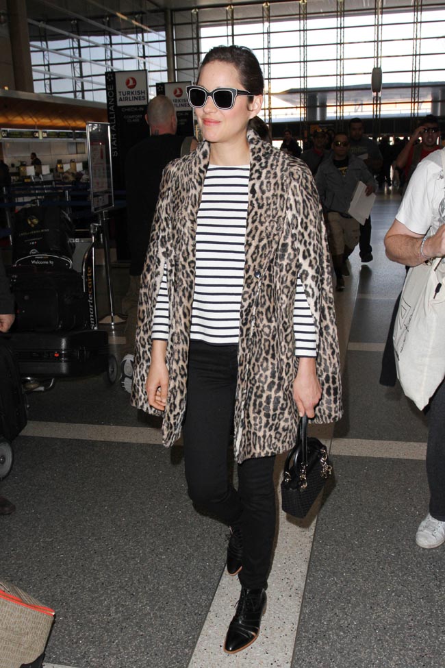 Marillon Cotillard Marillon Cotillard