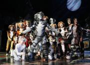 Cats musical3