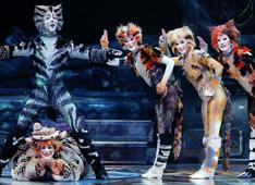 Cats musical2