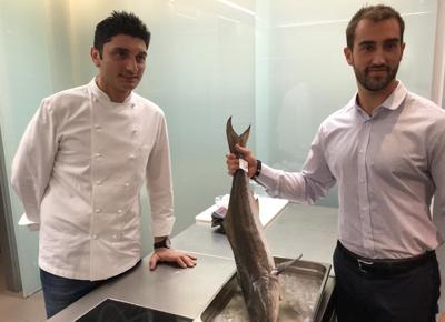 In Italia Arriva Il Cobia Nuovo Must Dei Grandi Chef Affaritaliani It