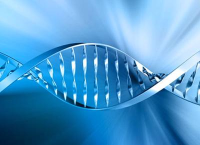 dna9