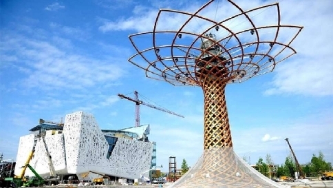 expo albero