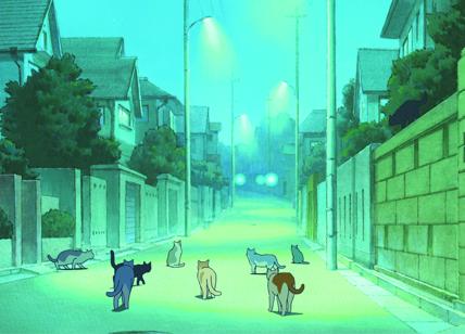 La ricompensa del gatto, ora il film arriva in Italia