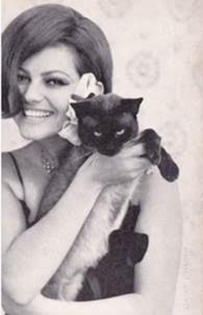 11. GATTI E JET SET “I gatti hanno una magia che nessun altro animale possiede. Sarà la trasparenza dello sguardo, sarà che ai gatti nessuno può dare ordini” (Claudia Cardinale). 11. GATTI E JET SET “I gatti hanno una magia che nessun altro animale possiede. Sarà la trasparenza dello sguardo, sarà che ai gatti nessuno può dare ordini” (Claudia Cardinale).