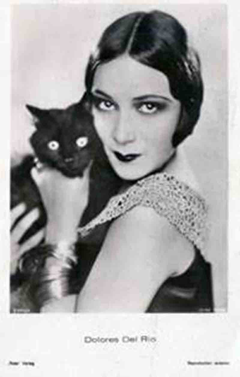 10. GATTI E JET SET Nel ‘900 il gatto era l’animale preferito anche dalle grandi attrici, sin dai tempi del cinema muto. Qui il coinquilino della diva messicana Dolores del Rio, che Hollywood aveva definito la replica femminile di Rodolfo Valentino (Germania, 1940) 10. GATTI E JET SET Nel ‘900 il gatto era l’animale preferito anche dalle grandi attrici, sin dai tempi del cinema muto. Qui il coinquilino della diva messicana Dolores del Rio, che Hollywood aveva definito la replica femminile di Rodolfo Valentino (Germania, 1940)