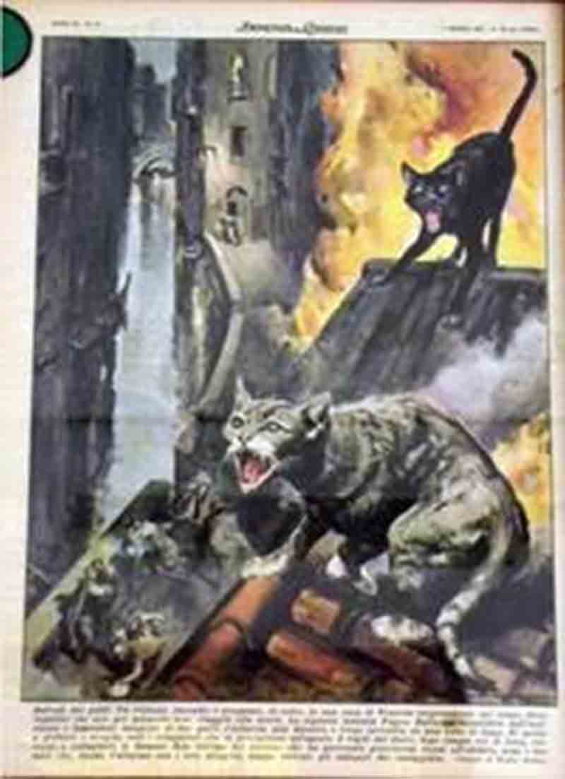 8. IL SALVATAGGIO I gatti sono da sempre alleati preziosi e discreti degli umani, prima in difesa del grano (dai topi) e poi con imprese quasi leggendarie. Come questa, nel 1960, in evidenza su ‘La Domenica del Corriere’. 8. IL SALVATAGGIO I gatti sono da sempre alleati preziosi e discreti degli umani, prima in difesa del grano (dai topi) e poi con imprese quasi leggendarie. Come questa, nel 1960, in evidenza su ‘La Domenica del Corriere’.