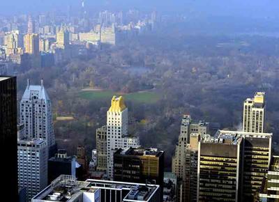 NY inverno ape