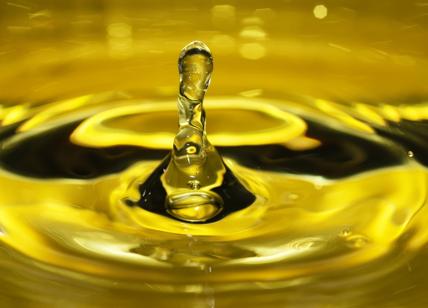 Olio d'oliva, in 25 anni consumi aumentati del 73%