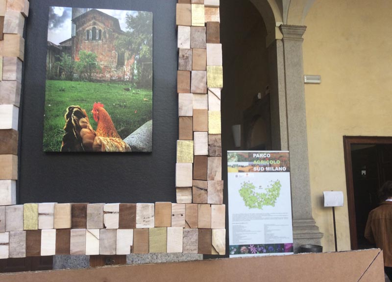 parco a palazzo 3 (4)