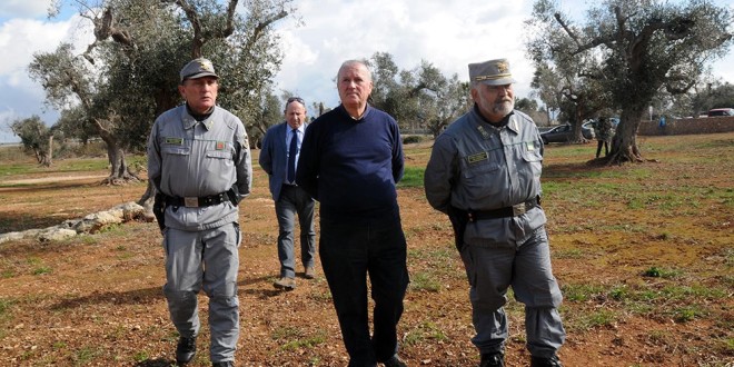 silletti forestali silletti forestali