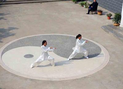 tai chi ape