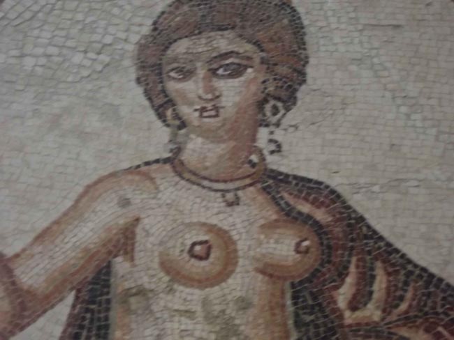 Mosaico del museo del Bardo Mosaico del museo del Bardo