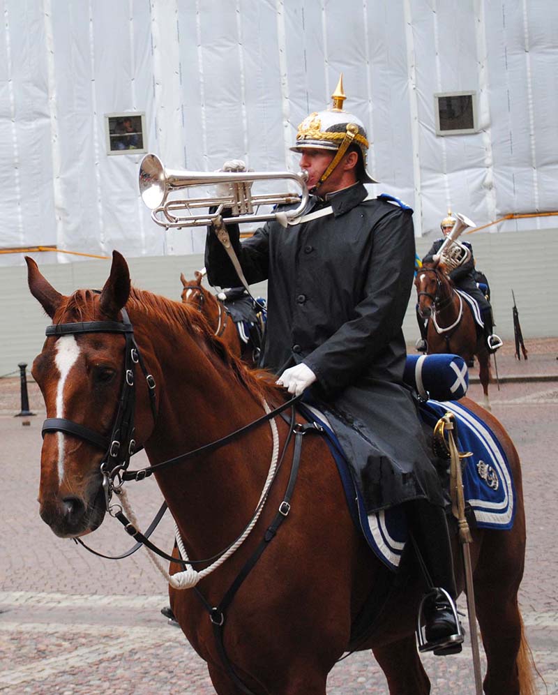 Un momento del cambio della guardia davanti al Palazzo reale