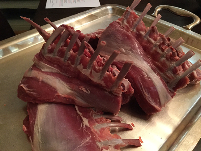 Agnello gallese (20)