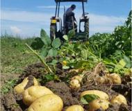 Agricolturamodomio16 agrofarma instagram (7) Agricolturamodomio16 agrofarma instagram (7)