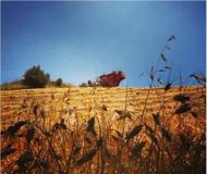 Agricolturamodomio16 agrofarma instagram (12) Agricolturamodomio16 agrofarma instagram (12)