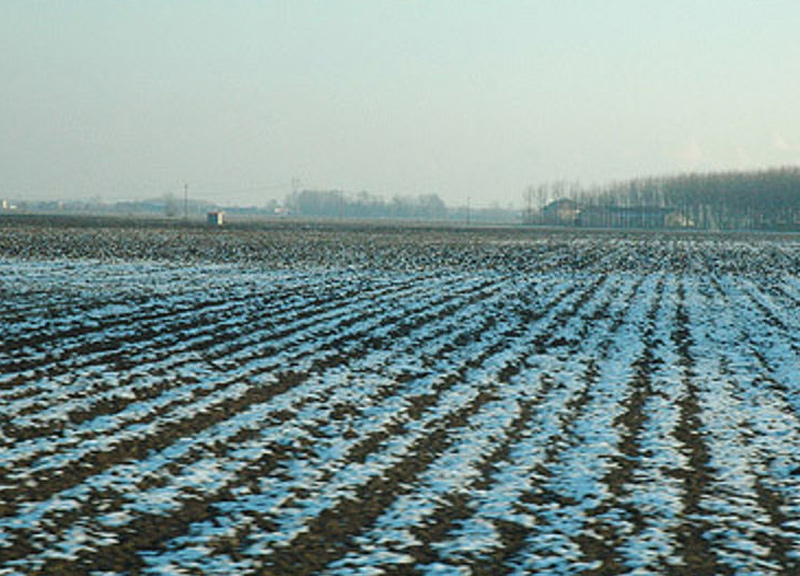 agricoltura gelo 091