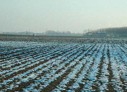 Neve e ghiaccio devastano l'agricoltura. Distrutte le coltivazioni all'aperto