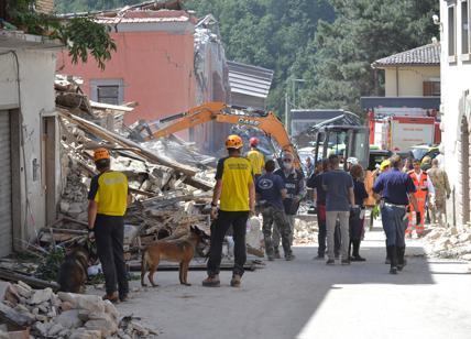 Terremoto, gli aiuti dalla Puglia dai volontari di InConTra e MSC