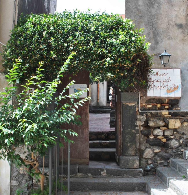 Nel centro storico di Aci Trezza è possibile visitare il piccolo museo La casa del Nespolo aperto per far rivivere la scenografia de I Malavoglia,il celebre romanzo di Verga