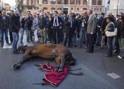 Cavallo della botticella cade in via Condotti, paura: insorgono gli ecologisti