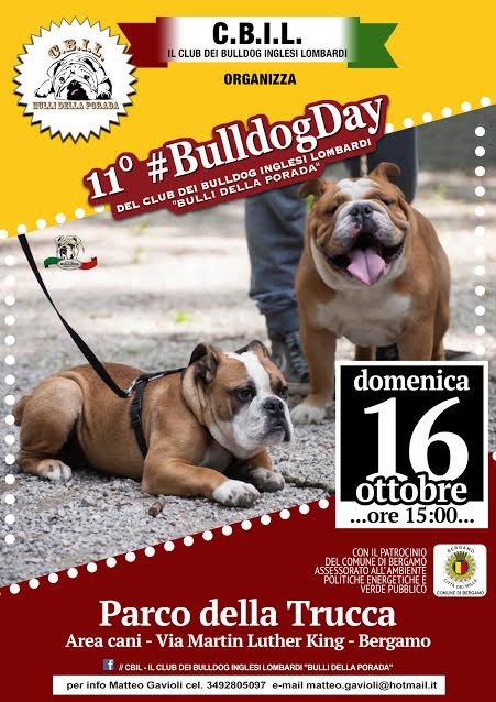bulldog5 bulldog5