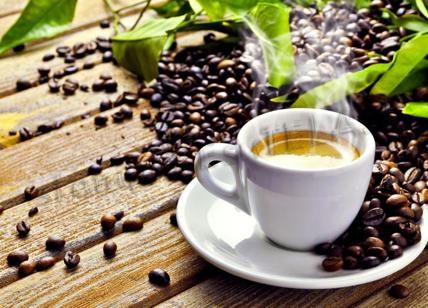 Caffè, un consumo moderato contribuisce a ridurre anche il rischio Alzheimer