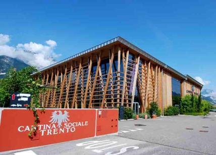 Previsione vendemmia 2016 alla Cantina Sociale Di Trento