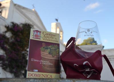 cantine aperte in vendemmia 4 (1)