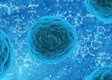 Cellula staminale sintetica: eccola. Rivoluzione CELLULA STAMINALE SINTETICA