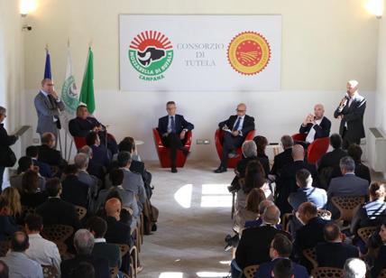 Mozzarella Dop, Commissione Anti contraffazione: “Modello da seguire"