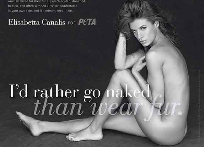 elisabetta canalis peta 2