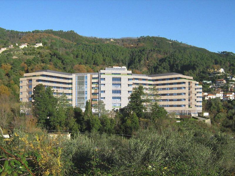 FELETTINO