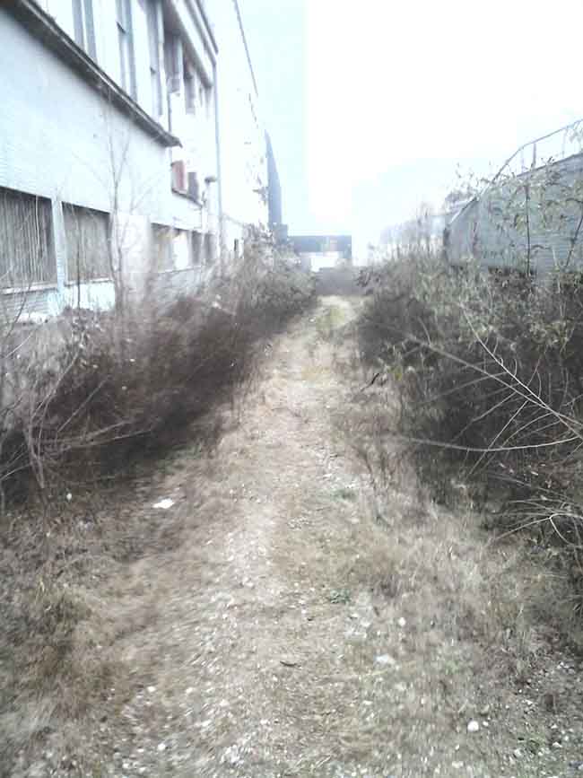 ESCLUSIVA AFFARITALIANI.IT MILANO (Pietro Vernizzi)