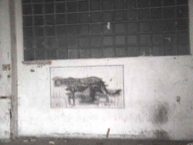 ESCLUSIVA AFFARITALIANI.IT MILANO (Pietro Vernizzi)