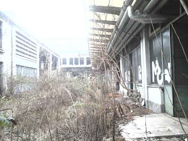 ESCLUSIVA AFFARITALIANI.IT MILANO (Pietro Vernizzi)