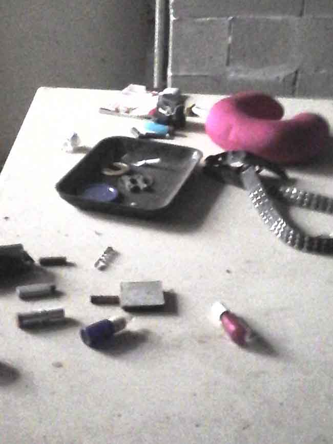 ESCLUSIVA AFFARITALIANI.IT MILANO (Pietro Vernizzi)