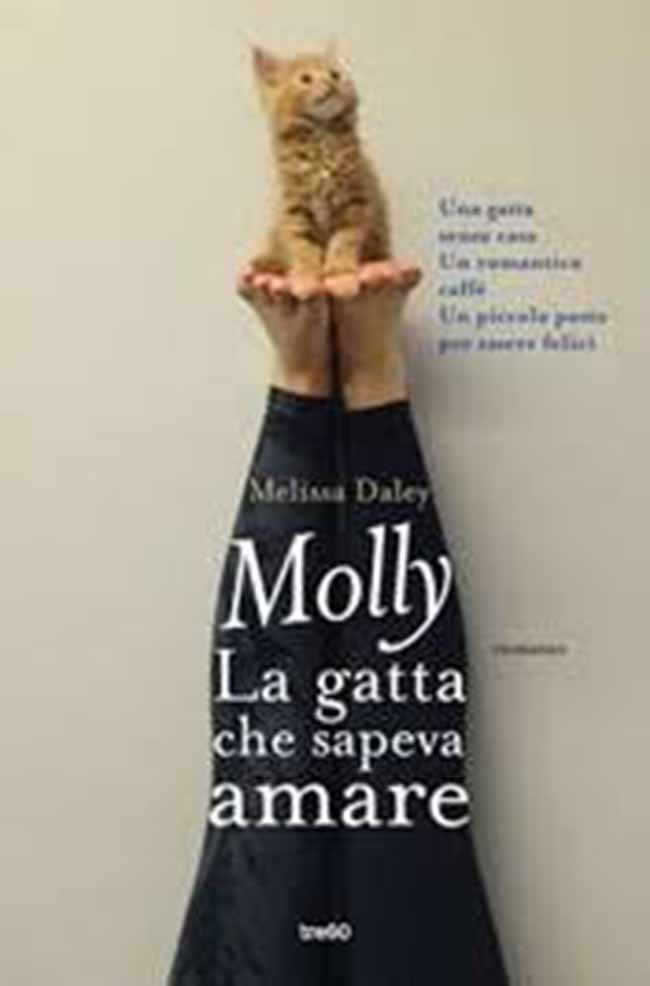 gatta molly gatta molly