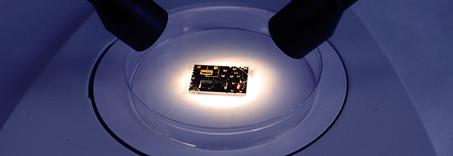 DIANAX laboratorio in un chip DIANAX laboratorio in un chip