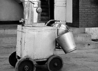 mostra Dayanita ape