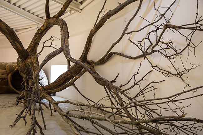 Henrique Oliveira, Transcorredor, 2016, dettaglio. Foto Ivan D’Alì Henrique Oliveira, Transcorredor, 2016, dettaglio. Foto Ivan D’Alì