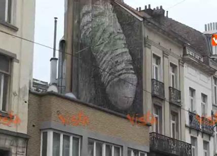 Pene gigante su un palazzo: il murales divide Bruxelles. Video