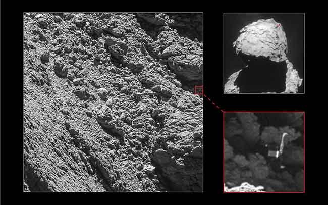 rosetta (2)