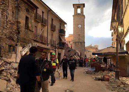 Terremoto in Centro Italia Parte la colonna pugliese