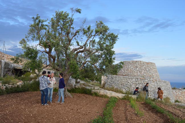 Grotta Grotta