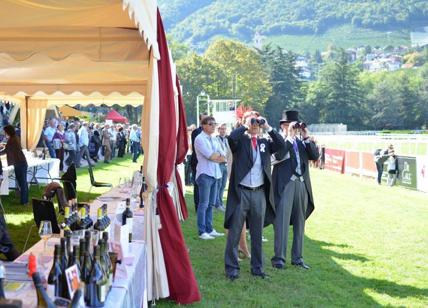 Wine&Horses: le eno-eccellenze di Köcher al Gran Premio Merano Adige