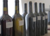 8 I vini sperimentali degustati
