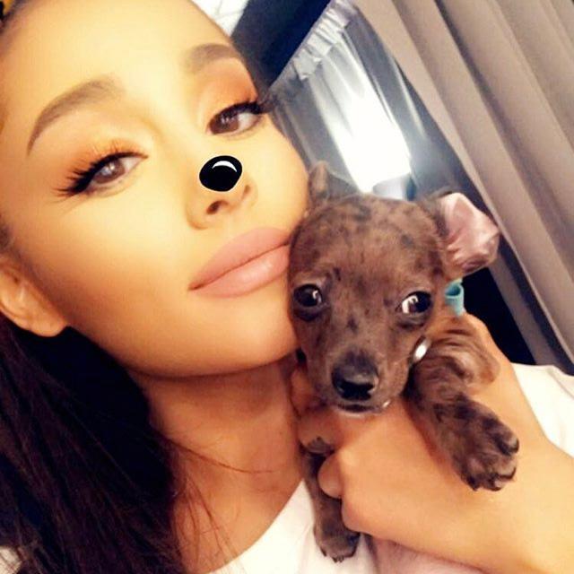 ARIANA GRANDE ARIANA GRANDE