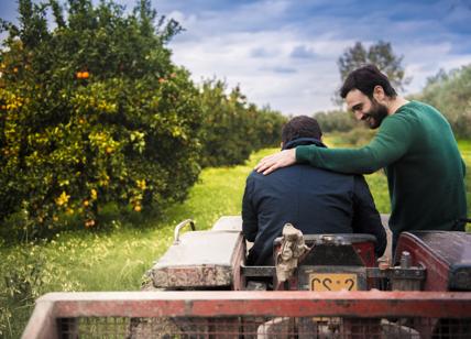 Biorfarm, la startup del frutteto digitale, lancia la campagna crowdfunding