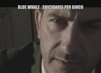 Blue Whale, Davide Parenti (Iene): "Filmati non autentici? Grave errore, ma.."